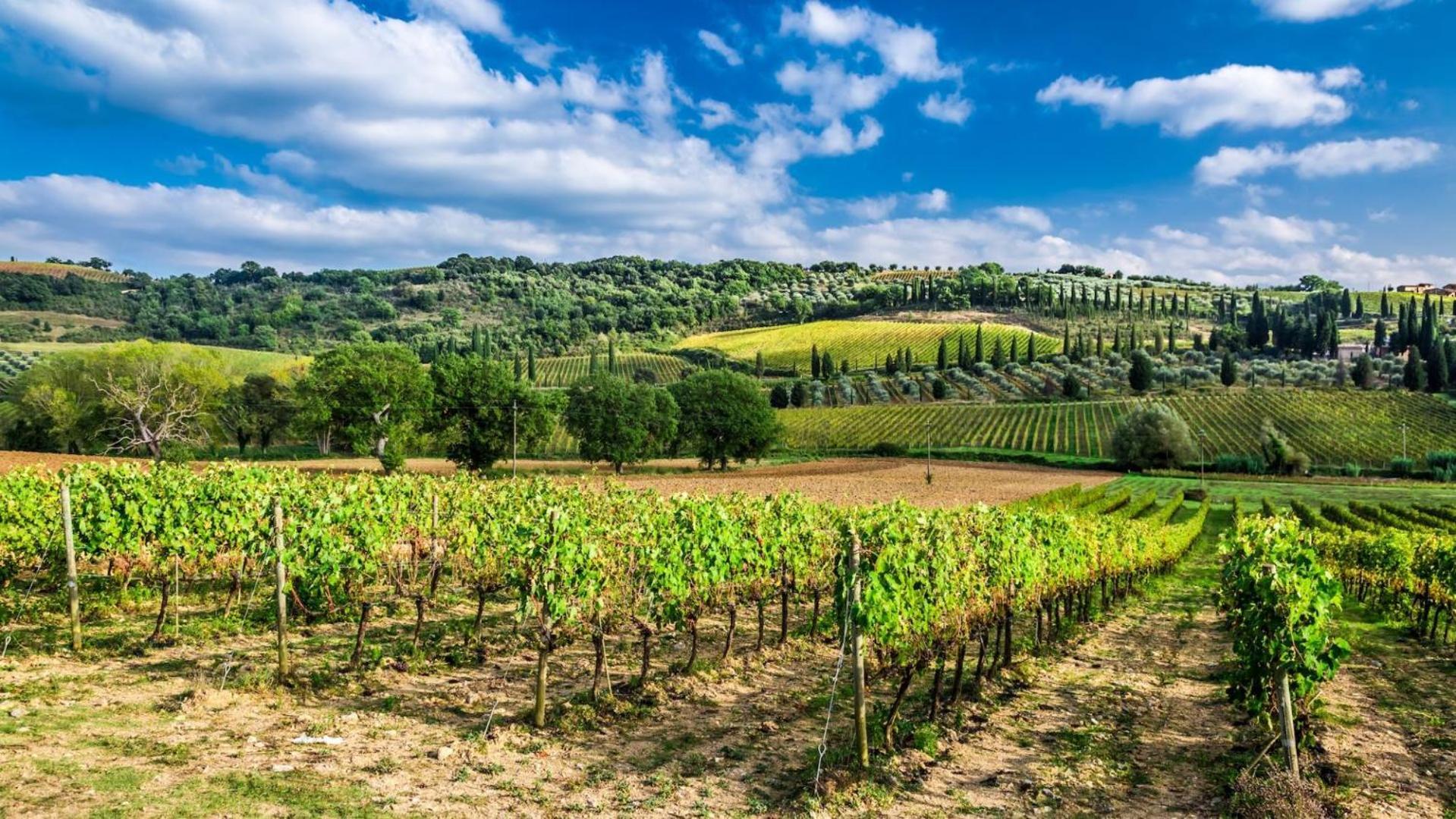 Terre Gialle - La Val D'Orcia Nascosta Castel del Piano  Exterior foto