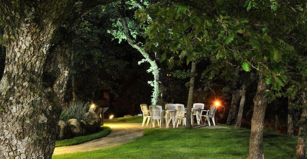 Terre Gialle - La Val D'Orcia Nascosta Castel del Piano  Exterior foto